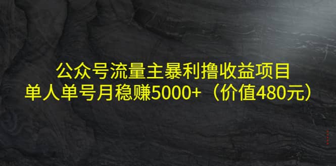 公众号流量主暴利撸收益项目，单人单号月稳赚5000+（价值480元）云创网-网创项目资源站-副业项目-创业项目-搞钱项目云创网