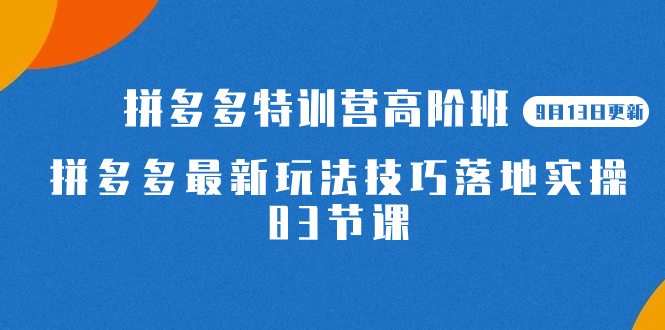 2023拼多多·特训营高阶班【9月13日更新】拼多多最新玩法技巧落地实操-83节云创网-网创项目资源站-副业项目-创业项目-搞钱项目云创网