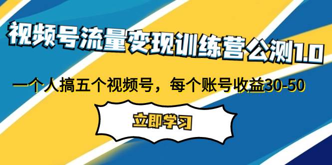 视频号流量变现训练营公测1.0：一个人搞五个视频号，每个账号收益30-50云创网-网创项目资源站-副业项目-创业项目-搞钱项目云创网