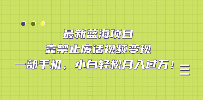 最新蓝海项目，靠禁止废话视频变现，一部手机，小白轻松月入过万！云创网-网创项目资源站-副业项目-创业项目-搞钱项目云创网