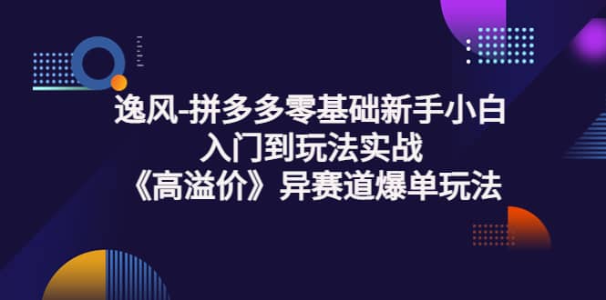 拼多多零基础新手小白入门到玩法实战《高溢价》异赛道爆单玩法实操课云创网-网创项目资源站-副业项目-创业项目-搞钱项目云创网