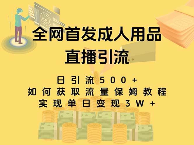 最新全网独创首发，成人用品直播引流获客暴力玩法，单日变现3w保姆级教程云创网-网创项目资源站-副业项目-创业项目-搞钱项目云创网