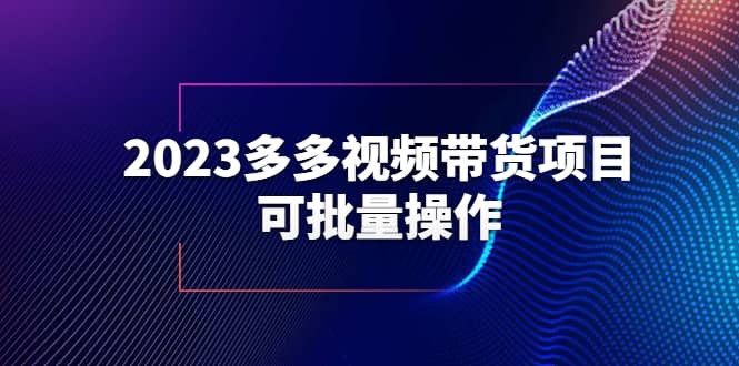 2023多多视频带货项目，可批量操作【保姆级教学】云创网-网创项目资源站-副业项目-创业项目-搞钱项目云创网