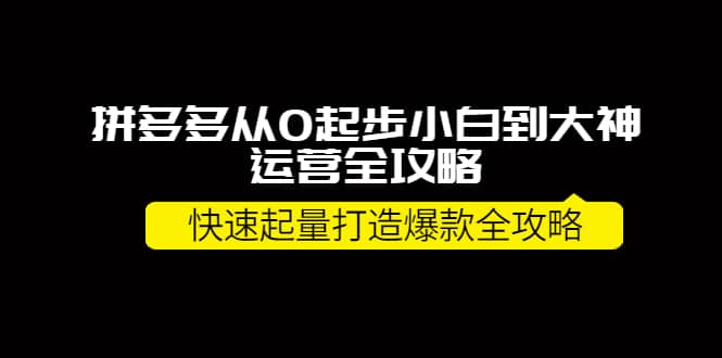 拼多多从0起步小白到大神运营全攻略云创网-网创项目资源站-副业项目-创业项目-搞钱项目云创网