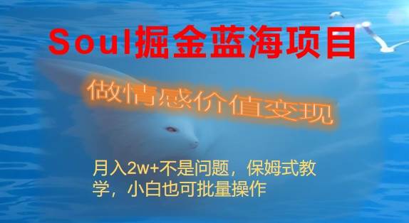 Soul掘金蓝海项目细分赛道，做情感价值变现，月入2w+不是问题云创网-网创项目资源站-副业项目-创业项目-搞钱项目云创网