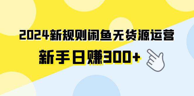 2024新规则闲鱼无货源运营新手日赚300+云创网-网创项目资源站-副业项目-创业项目-搞钱项目云创网