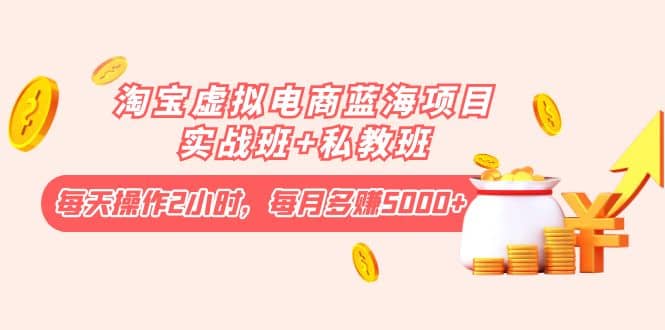 淘宝虚拟电商蓝海项目实战班+私教班云创网-网创项目资源站-副业项目-创业项目-搞钱项目云创网