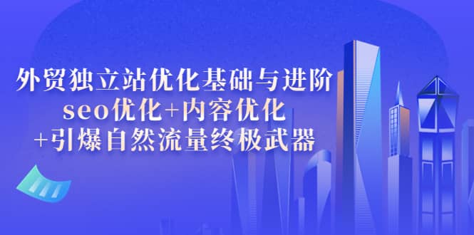 外贸独立站优化基础与进阶，seo优化+内容优化+引爆自然流量终极武器云创网-网创项目资源站-副业项目-创业项目-搞钱项目云创网