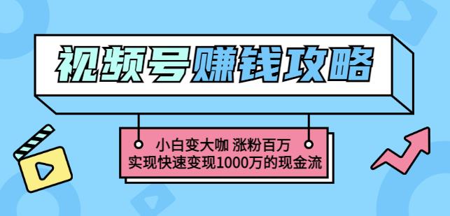 玩转微信视频号赚钱：小白变大咖涨粉百万实现快速变现1000万的现金流云创网-网创项目资源站-副业项目-创业项目-搞钱项目云创网