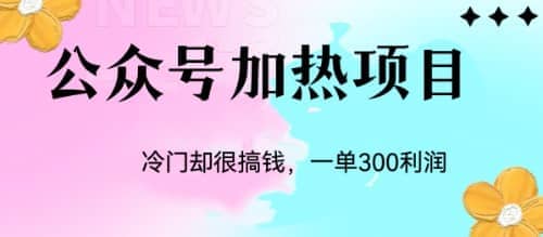 冷门公众号加热项目，一单利润300+云创网-网创项目资源站-副业项目-创业项目-搞钱项目云创网