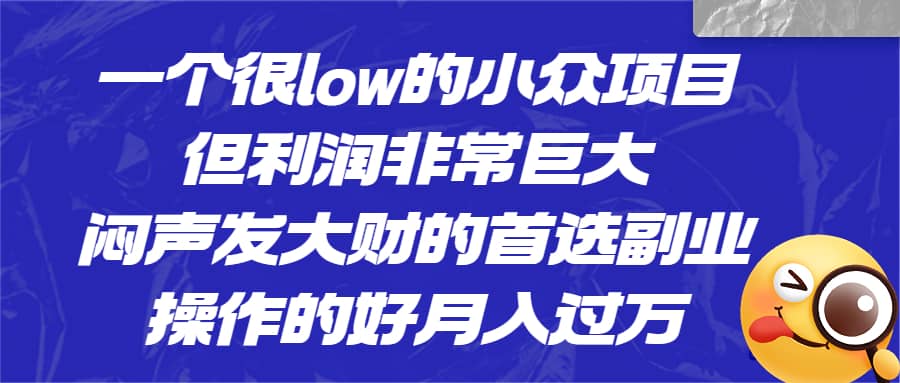 一个很low的小众项目，但利润非常巨大，闷声发大财的首选副业，月入过万云创网-网创项目资源站-副业项目-创业项目-搞钱项目云创网