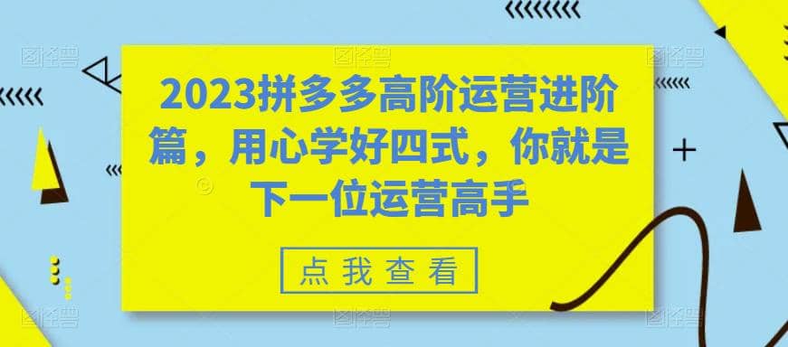 2023拼多多高阶运营进阶篇，用心学好四式，你就是下一位运营高手云创网-网创项目资源站-副业项目-创业项目-搞钱项目云创网