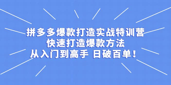 拼多多爆款打造实战特训营：快速打造爆款方法，从入门到高手 日破百单网创吧-网创项目资源站-副业项目-创业项目-搞钱项目云创网