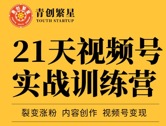 张萌21天视频号实战训练营，裂变涨粉、内容创作、视频号变现 价值298元云创网-网创项目资源站-副业项目-创业项目-搞钱项目云创网