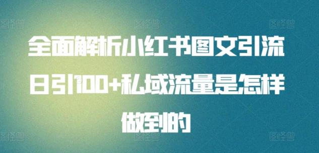 日引流100私域流量小红书图文是怎样做到的全面解析云创网-网创项目资源站-副业项目-创业项目-搞钱项目云创网