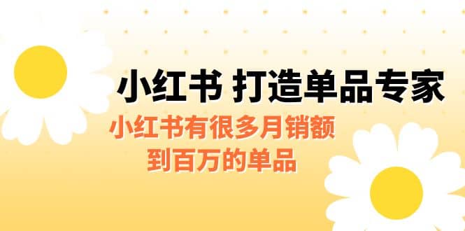 某公众号付费文章《小红书 打造单品专家》小红书有很多月销额到百万的单品云创网-网创项目资源站-副业项目-创业项目-搞钱项目云创网