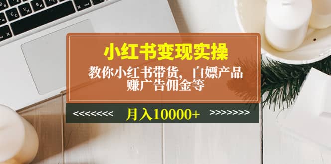 小红书变现实操：教你小红书带货，白嫖产品，赚广告佣金等云创网-网创项目资源站-副业项目-创业项目-搞钱项目云创网