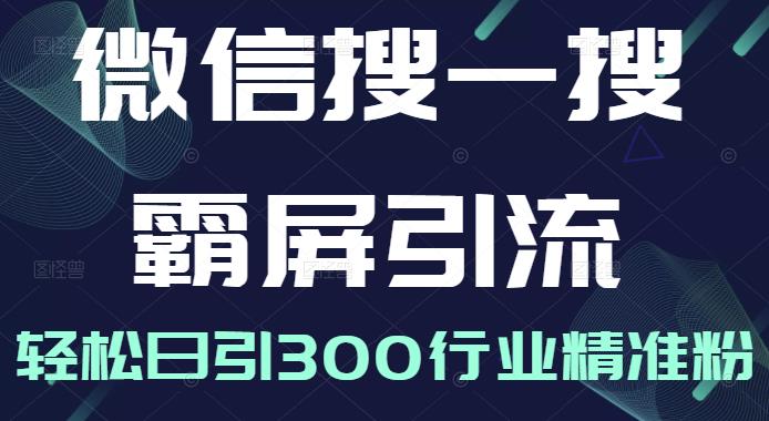 微信搜一搜霸屏引流课，打造被动精准引流系统，轻松日引300行业精准粉【无水印】网创吧-网创项目资源站-副业项目-创业项目-搞钱项目云创网