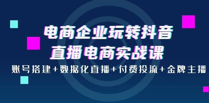 电商企业玩转抖音直播电商实战课：账号搭建+数据化直播+付费投流+金牌主播云创网-网创项目资源站-副业项目-创业项目-搞钱项目云创网