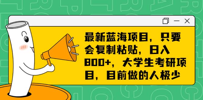 最新蓝海项目，只要会复制粘贴，日入800+，大学生考研项目，目前做的人极少云创网-网创项目资源站-副业项目-创业项目-搞钱项目云创网