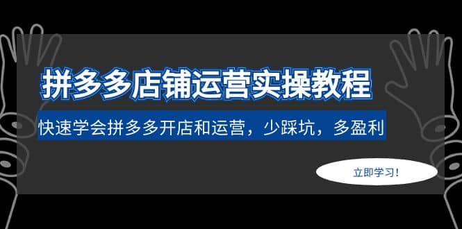 拼多多店铺运营实操教程：快速学会拼多多开店和运营，少踩坑，多盈利云创网-网创项目资源站-副业项目-创业项目-搞钱项目云创网