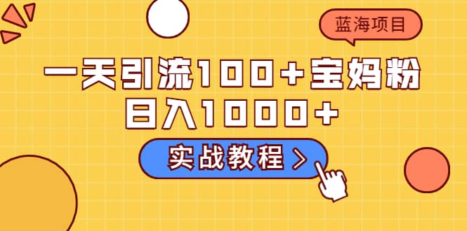 一天引流100+宝妈粉，日入1000+的蓝海项目（实战教程）网创吧-网创项目资源站-副业项目-创业项目-搞钱项目云创网