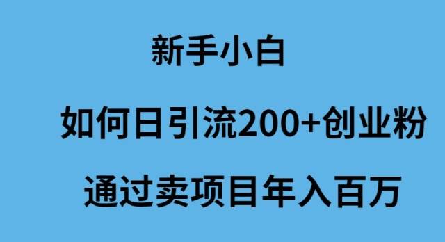 新手小白如何日引流200+创业粉通过卖项目年入百万云创网-网创项目资源站-副业项目-创业项目-搞钱项目云创网