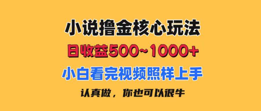 小说撸金核心玩法，日收益500-1000+，小白看完照样上手，0成本有手就行云创网-网创项目资源站-副业项目-创业项目-搞钱项目云创网