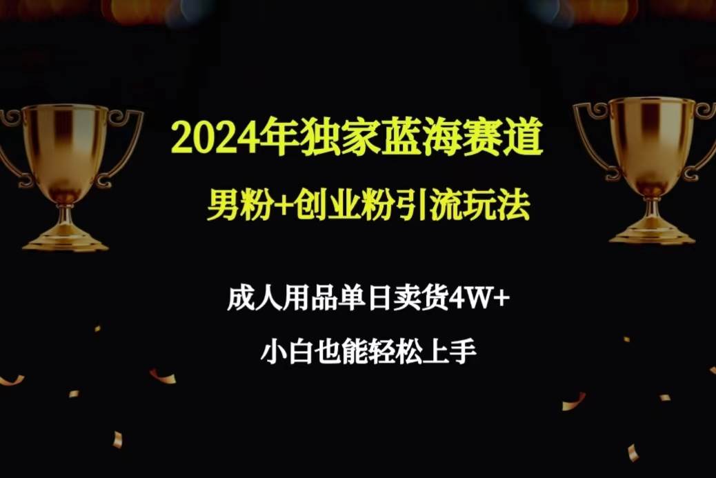 2024年独家蓝海赛道男粉+创业粉引流玩法，成人用品单日卖货4W+保姆教程云创网-网创项目资源站-副业项目-创业项目-搞钱项目云创网