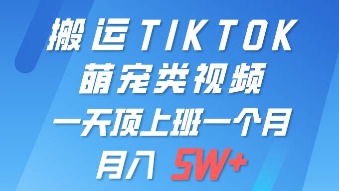 一键搬运TIKTOK萌宠类视频 一部手机即可操作 所有平台均可发布 轻松月入5W+云创网-网创项目资源站-副业项目-创业项目-搞钱项目云创网