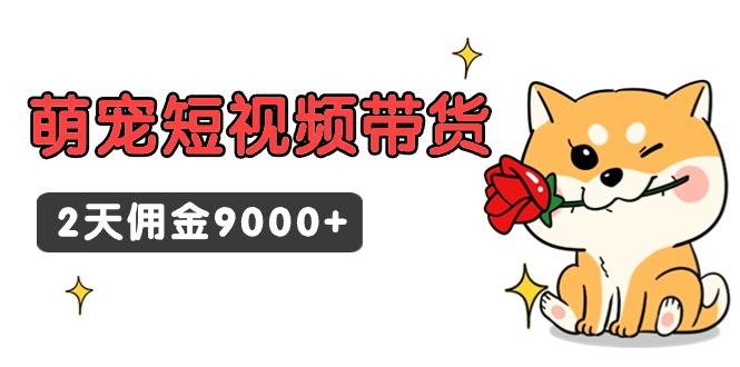 东哲日记·萌宠短视频带货，2天佣金9000+云创网-网创项目资源站-副业项目-创业项目-搞钱项目云创网