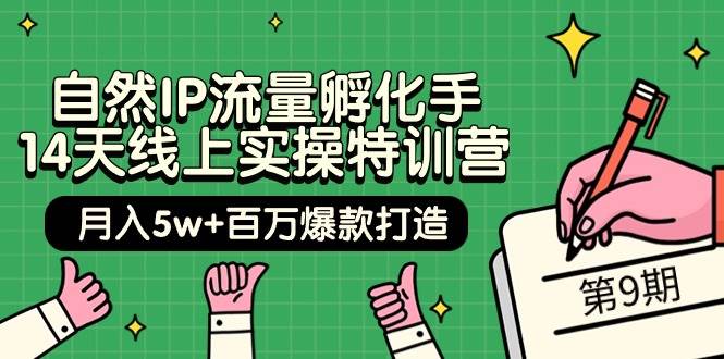 自然IP流量孵化手 14天线上实操特训营【第9期】月入5w+百万爆款打造 (74节)云创网-网创项目资源站-副业项目-创业项目-搞钱项目云创网