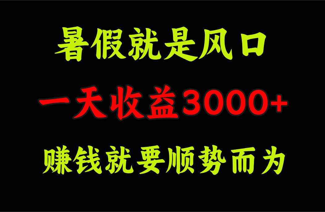 一天收益3000+ 赚钱就是顺势而为，暑假就是风口云创网-网创项目资源站-副业项目-创业项目-搞钱项目云创网