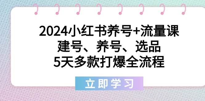 2024小红书养号+流量课：建号、养号、选品，5天多款打爆全流程云创网-网创项目资源站-副业项目-创业项目-搞钱项目云创网