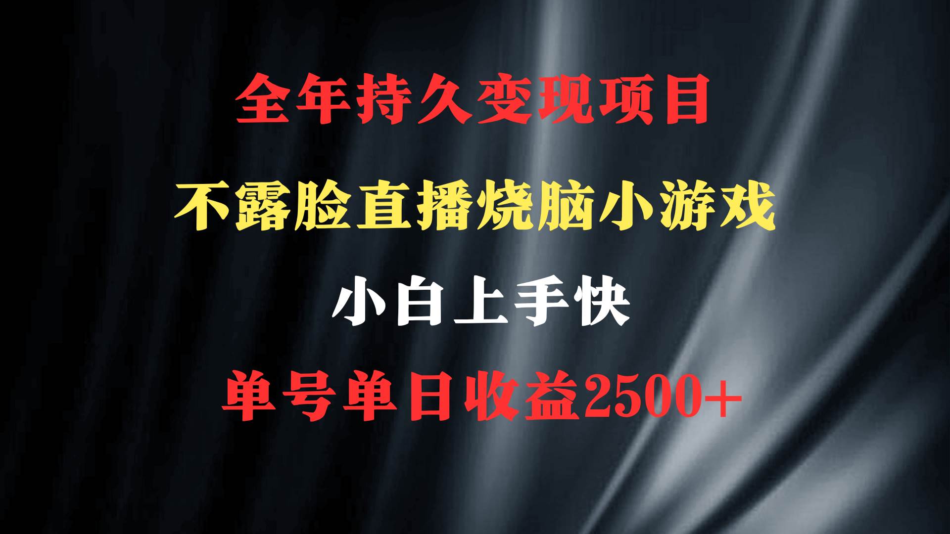 2024年 最优项目，烧脑小游戏不露脸直播  小白上手快 无门槛 一天收益2500+云创网-网创项目资源站-副业项目-创业项目-搞钱项目云创网