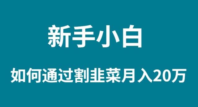 新手小白如何通过割韭菜月入 20W云创网-网创项目资源站-副业项目-创业项目-搞钱项目云创网