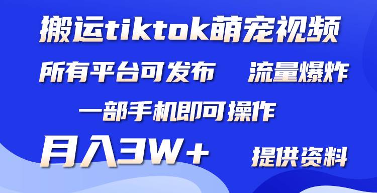 搬运Tiktok萌宠类视频，一部手机即可。所有短视频平台均可操作，月入3W+云创网-网创项目资源站-副业项目-创业项目-搞钱项目云创网