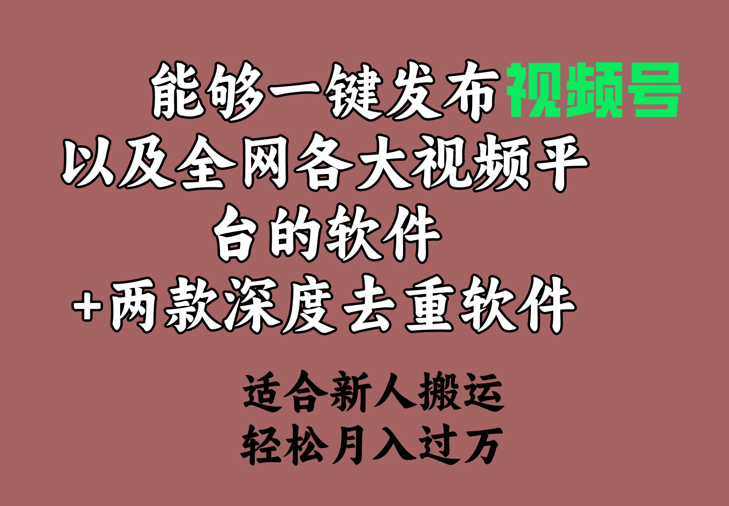 能够一键发布视频号以及全网各大视频平台的软件+两款深度去重软件 适合…云创网-网创项目资源站-副业项目-创业项目-搞钱项目云创网