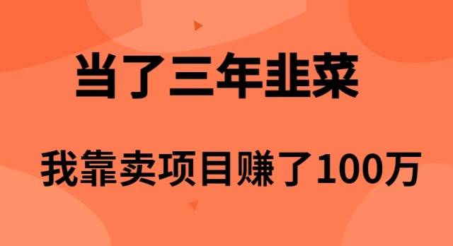 当了3年韭菜，我靠卖项目赚了100万云创网-网创项目资源站-副业项目-创业项目-搞钱项目云创网