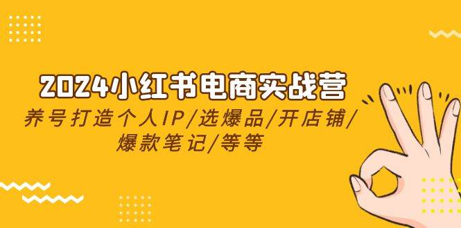 2024小红书电商实战营，养号打造IP/选爆品/开店铺/爆款笔记/等等（24节）云创网-网创项目资源站-副业项目-创业项目-搞钱项目云创网