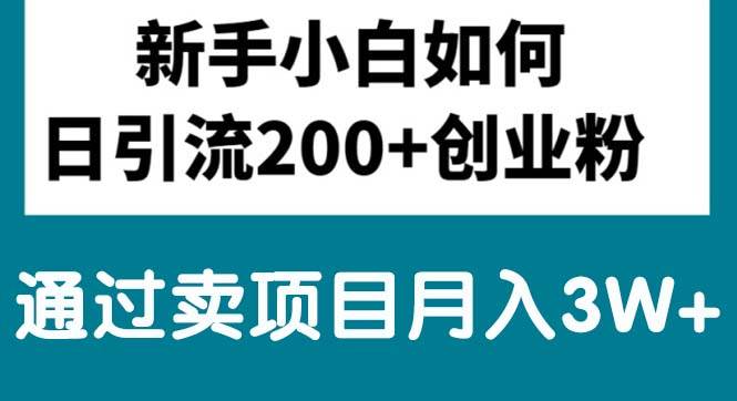 新手小白日引流200+创业粉,通过卖项目月入3W+云创网-网创项目资源站-副业项目-创业项目-搞钱项目云创网