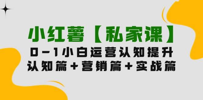 小红薯【私家课】0-1玩赚小红书内容营销，认知篇+营销篇+实战篇（11节课）云创网-网创项目资源站-副业项目-创业项目-搞钱项目云创网