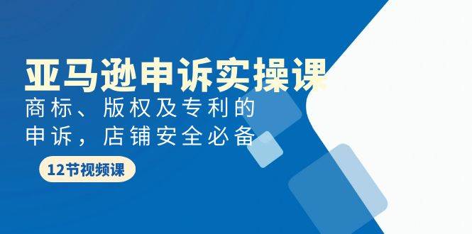 亚马逊-申诉实战课，商标、版权及专利的申诉，店铺安全必备云创网-网创项目资源站-副业项目-创业项目-搞钱项目云创网