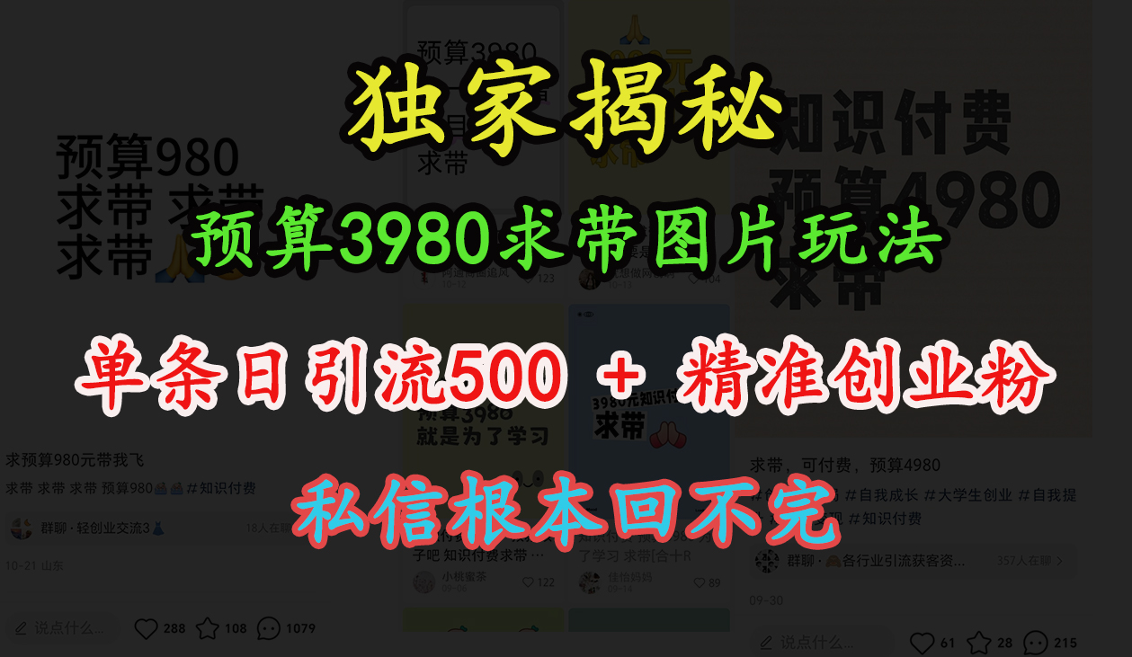 “小红书”预算3980求带 图片玩法，单条日引流500+精准创业粉，私信根本回不完云创网-网创项目资源站-副业项目-创业项目-搞钱项目云创网