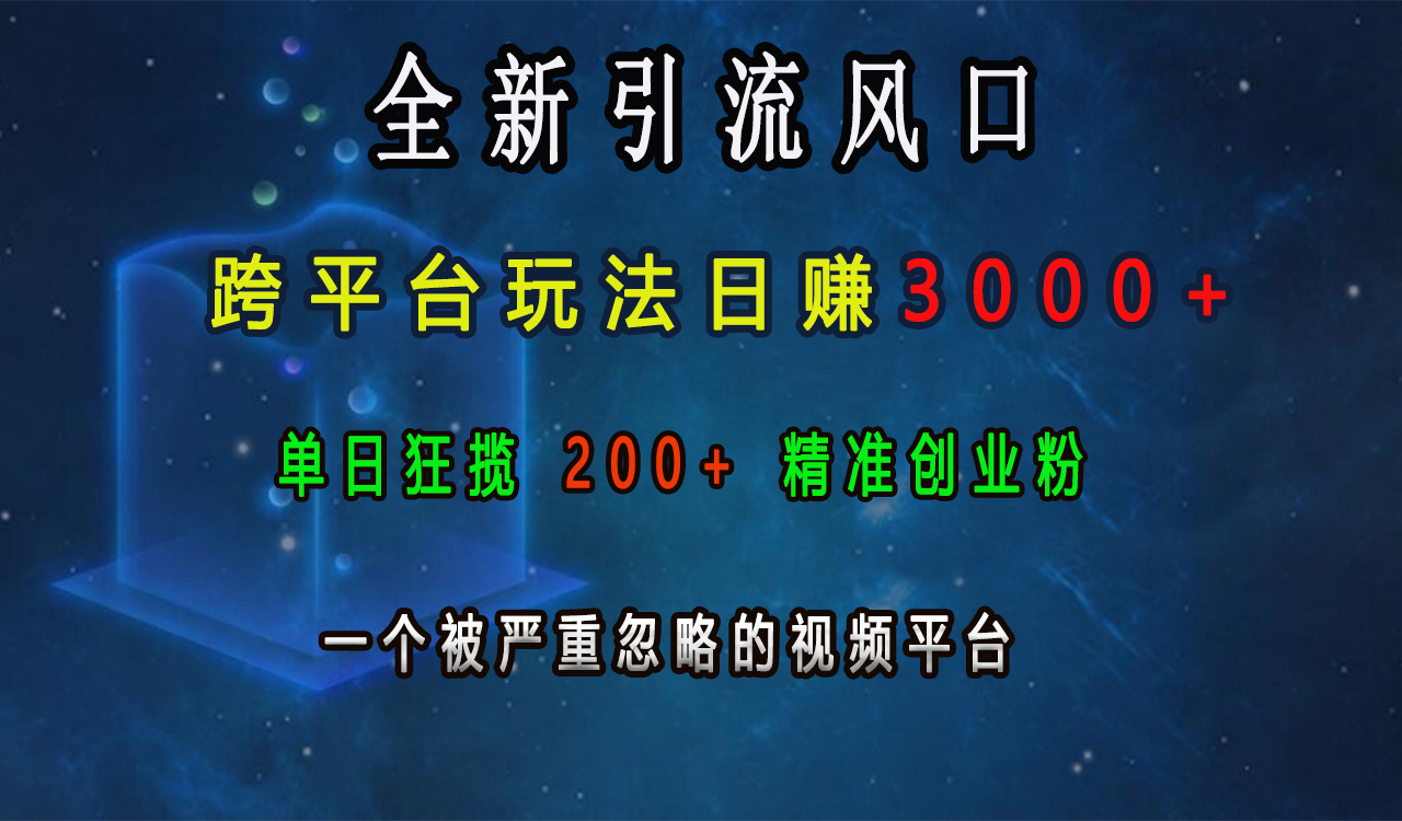 全新引流风口，跨平台玩法日赚3000+，单日狂揽200+精准创业粉，一个被严重忽略的视频平台云创网-网创项目资源站-副业项目-创业项目-搞钱项目云创网