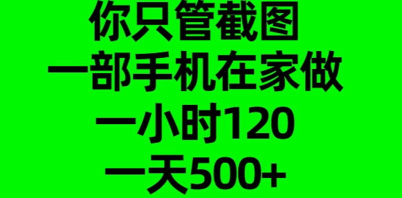 你只管截图，一部手机在家做，一小时120，一天500+网创吧-网创项目资源站-副业项目-创业项目-搞钱项目云创网