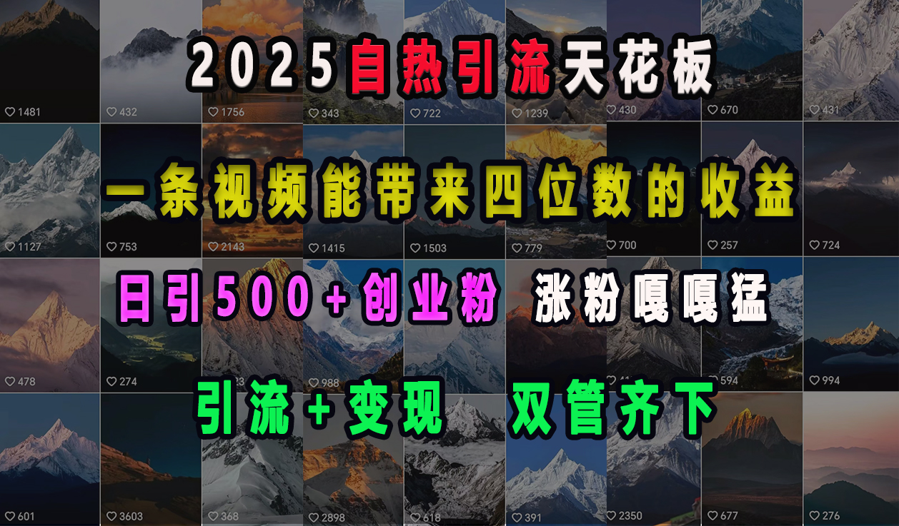 2025自热引流天花板，一条视频能带来四位数的收益，引流+变现双管齐下，日引500+创业粉，涨粉嘎嘎猛网创吧-网创项目资源站-副业项目-创业项目-搞钱项目云创网