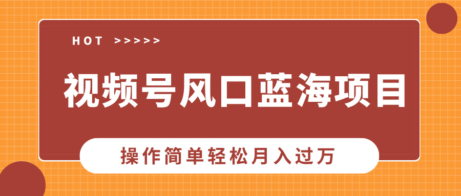 视频号风口蓝海项目，中老年人的流量密码，操作简单轻松月入过万网创吧-网创项目资源站-副业项目-创业项目-搞钱项目云创网