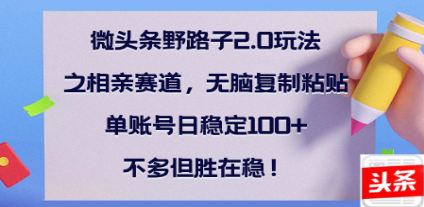 全网首发微头条野路子2.0玩法之相亲赛道，无脑搬砖复制粘贴，单账号日稳定300+保姆级教程云创网-网创项目资源站-副业项目-创业项目-搞钱项目云创网