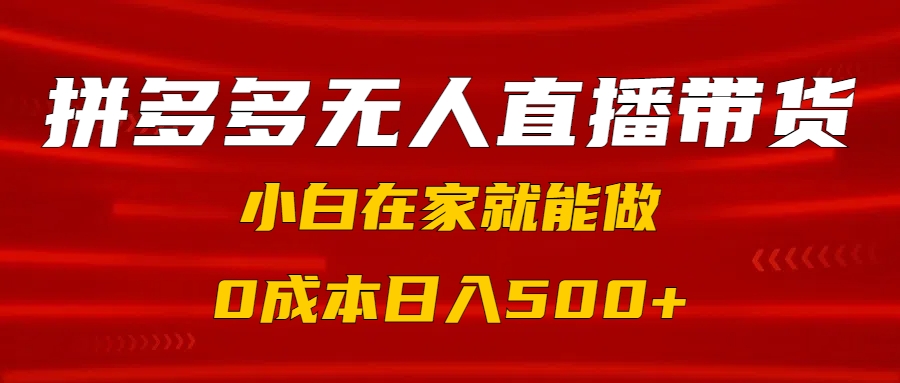 拼多多无人直播带货，小白在家就能做，0成本日入500+云创网-网创项目资源站-副业项目-创业项目-搞钱项目云创网